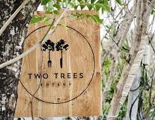 Wajib Coba, Kafe dengan Menu Makanan Sehat di Canggu