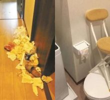 Sewa Apartemen, Tiga Turis Wanita buat Pemilik Geram, Tinggalkan Banyak Sampah dan Makanan Busuk